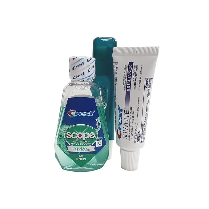 10 Piece Resealable Clear Men's Travel Kit with Shave Cream