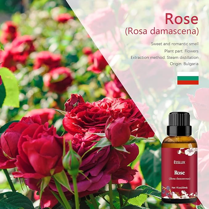 Rose Essential Oil, Esslux Aromatherapy Oils for Diffuser, Massage, Soap, Candle Making, Perfume, 30 ml