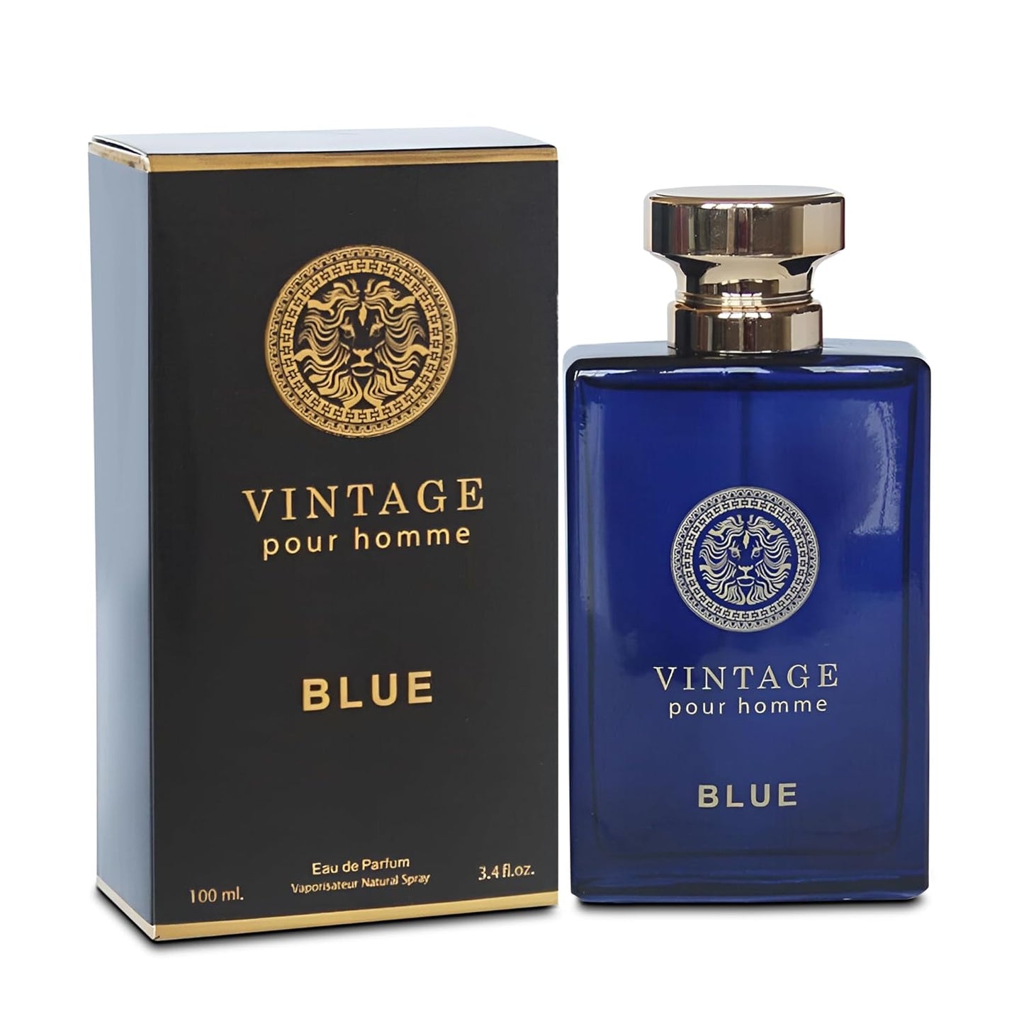 Vintage Blue Men's Cologne Timeless Scent with a Modern Twist Perfume for Men, Eau de Toilette 100ML for All Skin