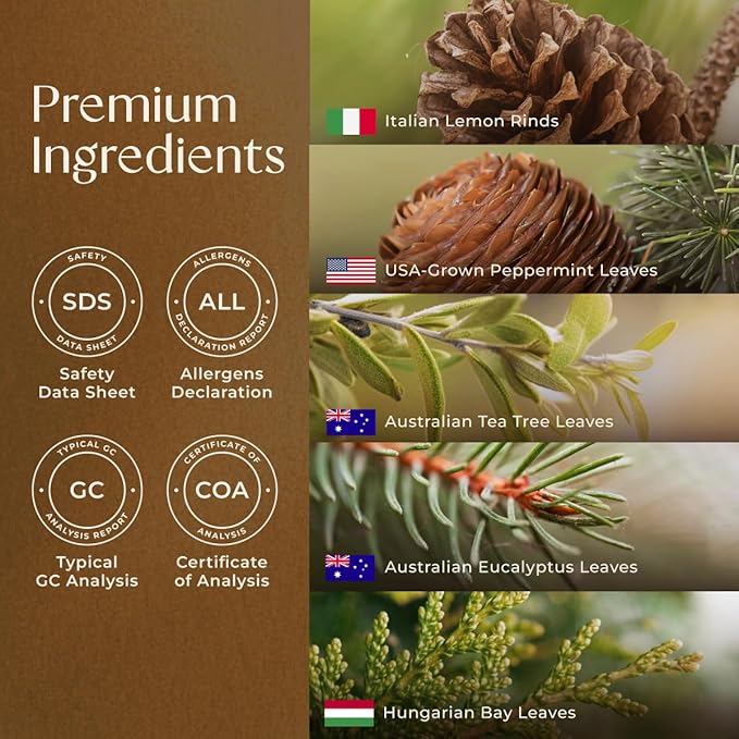 Gya Labs Breathe Essential Oil Blends - 100% Pure Natural Breathe Easy Essential Oils from Eucalyptus, Peppermint and More for Humidifier Cleaner (0.34 Fl Oz)