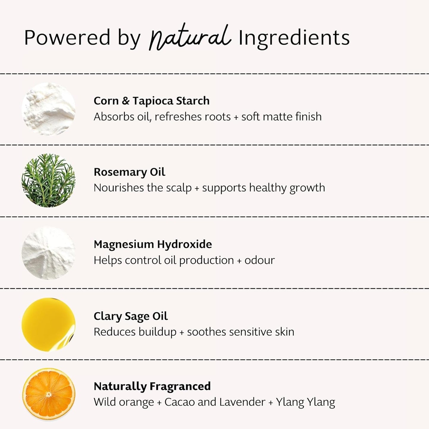 Slo | Natural Dry Shampoo Powder For Dark Hair - All Natural Ingredients, Vegan & Cruelty Free, Talc-Free Blend | Lavender + Ylang Ylang & Wild Orange + Cacao | 2 Pack (2 x 1.23oz/35g)