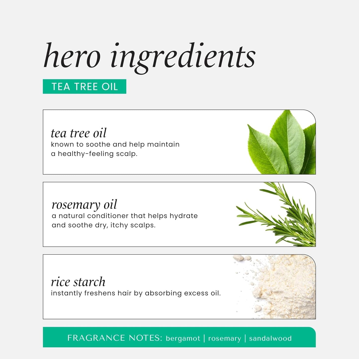 HASK Tea Tree Invigorating Dry Shampoo for Oily, Itchy Scalps – Absorbs Oil, Rebalances Scalp, Hypoallergenic, No Sulfates or Parabens, Cruelty-Free – 8.1oz