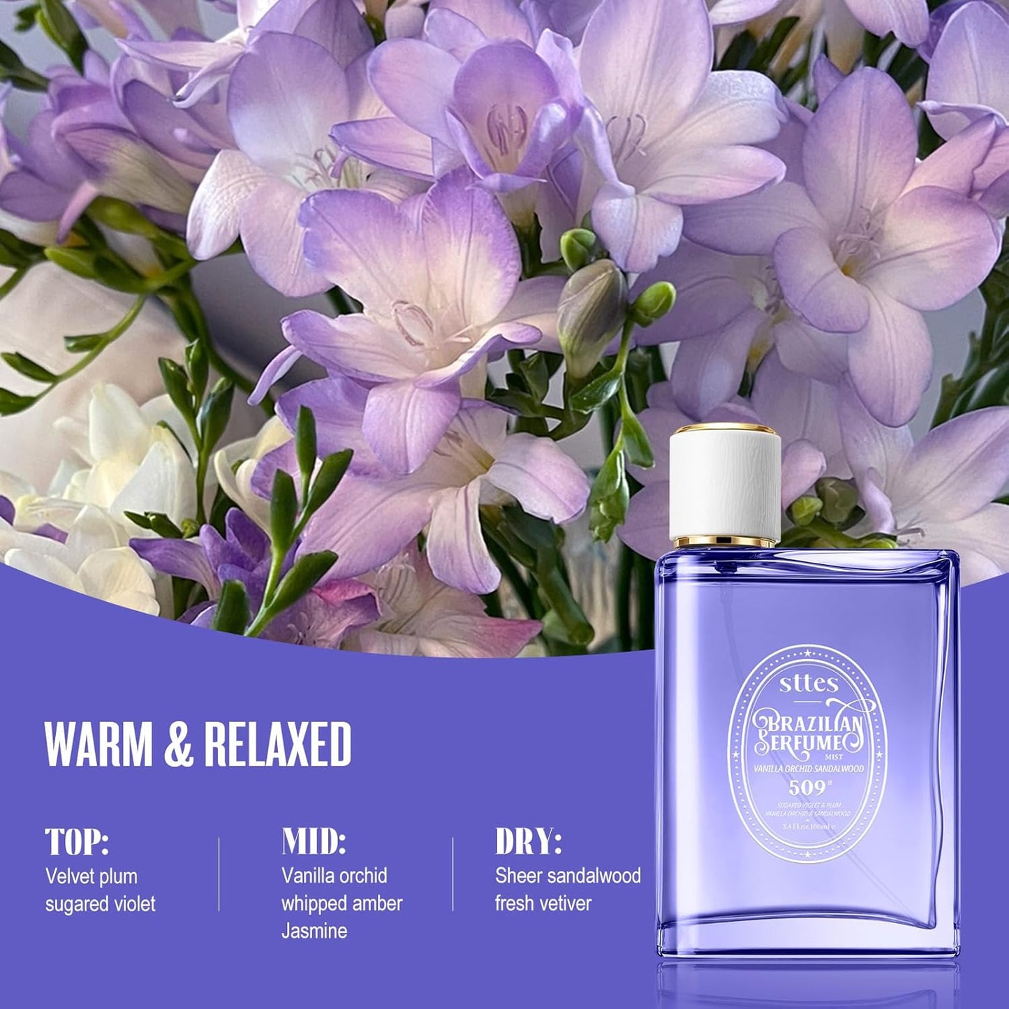 Sttes Perfume 509# (Vanilla Orchid Sandalwood) - Eau de Perfume 100ml (3.4fl oz) Woody Food Tune (Vanilla + Orchid + Sandalwood)