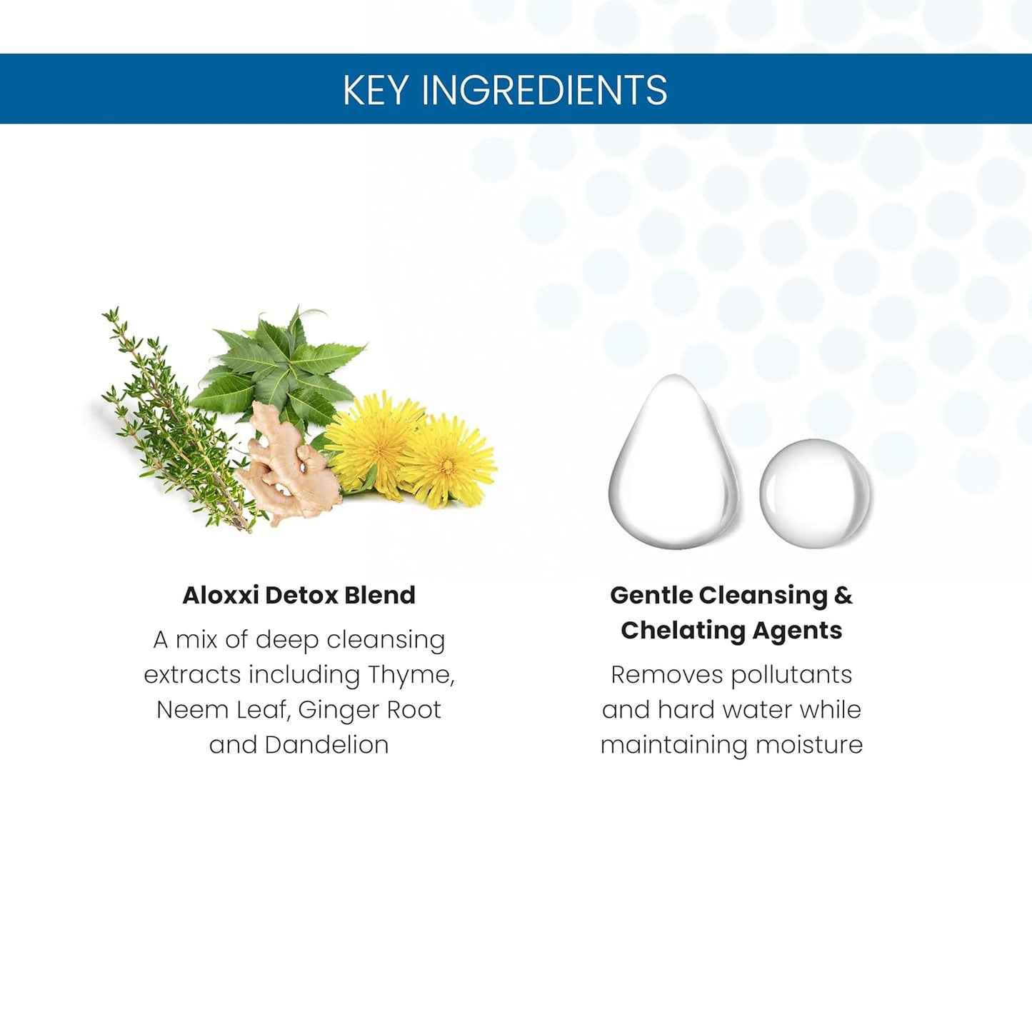 ALOXXI Clarifying Shampoo for Color-Treated Hair Gentle Hair Cleanser Removes Product Build-Up and Residue, 33.8 Fl Oz