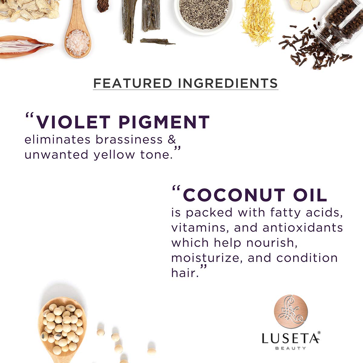 Luseta Color Brightening Purple Shampoo and Conditioner Travel Kit for Blonde and Gray Hair -Infused with Cocos Nucifera Oil to Help Nourish, Moisturize and Condition Hair, 2x1.01oz