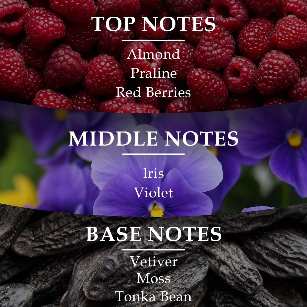 Lonkoom Noble Gold Perfume for Women, 3.4 fl oz/100ml Eau de Parfum Spray Long-Lasting Fragrance, Oriental Floral Notes of Almond, Praline, Red Berries, Iris, Violet, Vetiver, Moss, Tonka Bean