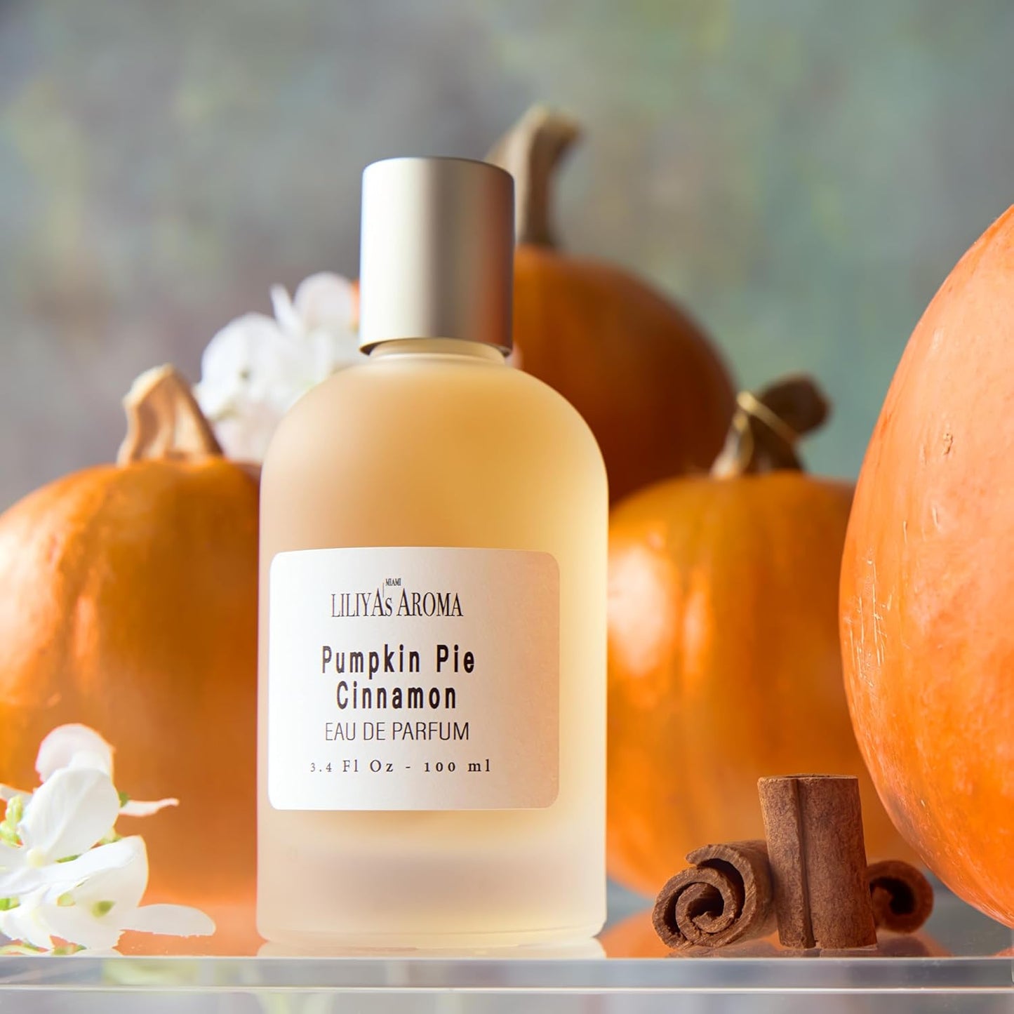 Liliya's Aroma Warm Haven | Unisex Perfume with Vanilla, Cinnamon & Sandalwood Notes | Cozy & Inviting Scent | Long-Lasting Fragrance | 3.4 Fl Oz (3.4 Fl Oz, Pumpkin Pie)
