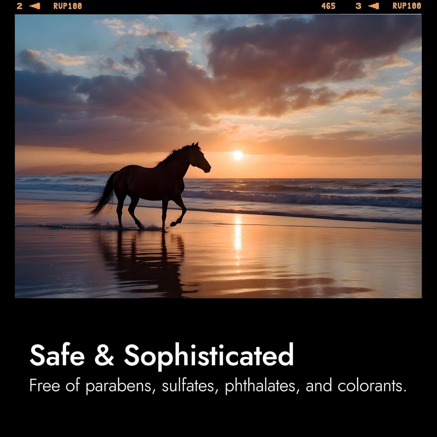 Modern Memory Born Hero Eau de Toilette for Men, 2.5 fl oz - Notes of Bergamot, Black Pepper & Cedarwood