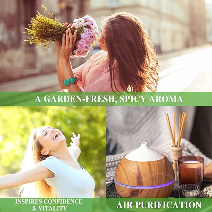 Basil Essential Oil 30ML, Pure Essential Oils for Massage, Diffusers, Basil Oil for Soap Candle Making (1.01FL.OZ Bottle)