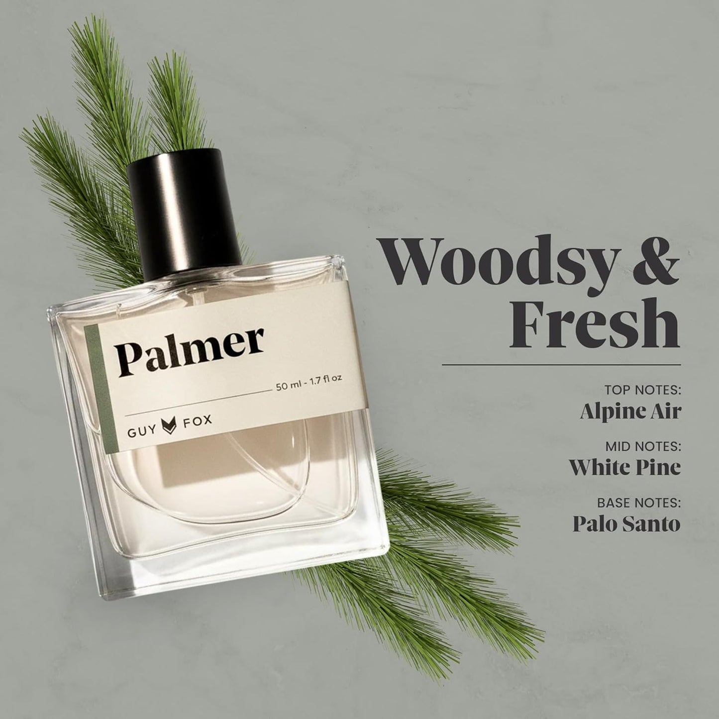 GUY FOX - Men's Cologne - Fresh, Premium Quality, Affordable Cologne/Perfume/Fragrance - Palmer