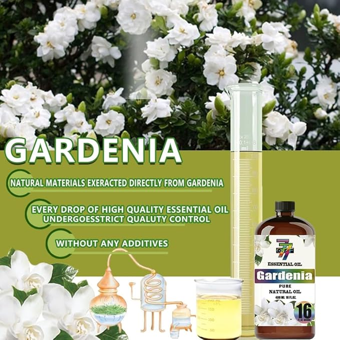 Gardenia Essential Oil (16 oz/480 ml) - Gardenia Oils Used in diffusers, humidifiers, Home Baths, Cleaning Products, Yoga, DIY Soaps and DIY Scented Candles