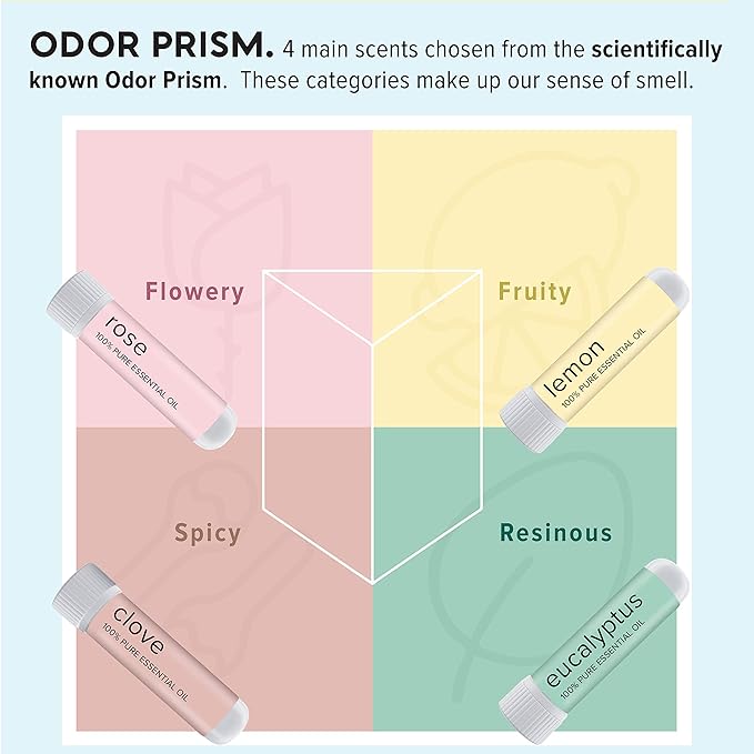 MOXĒ Smell Training Kit, Made in USA, 4 Essential Oils, Olfactory Regeneration, Helps Restore Sense of Smell, Natural Therapy for Smell Loss (Phase 1)