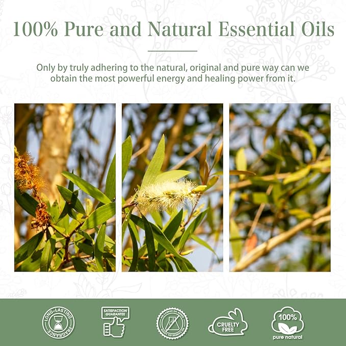 Australian Tea Tree 1.01fl.oz Essential Oil, PHATOIL Pure Aromatherapy Oils for Diffuser, Humidifier, Perfect for DIY Soap, Candle, Bath Bombs Making(30ml)