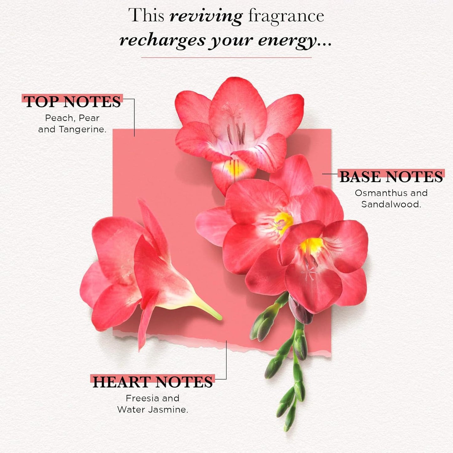 SOLINOTES Freesia Perfume for Women - Eau De Parfum | Delicate Floral and Soothing Scent - Made in France - Vegan - 1.7 fl.oz