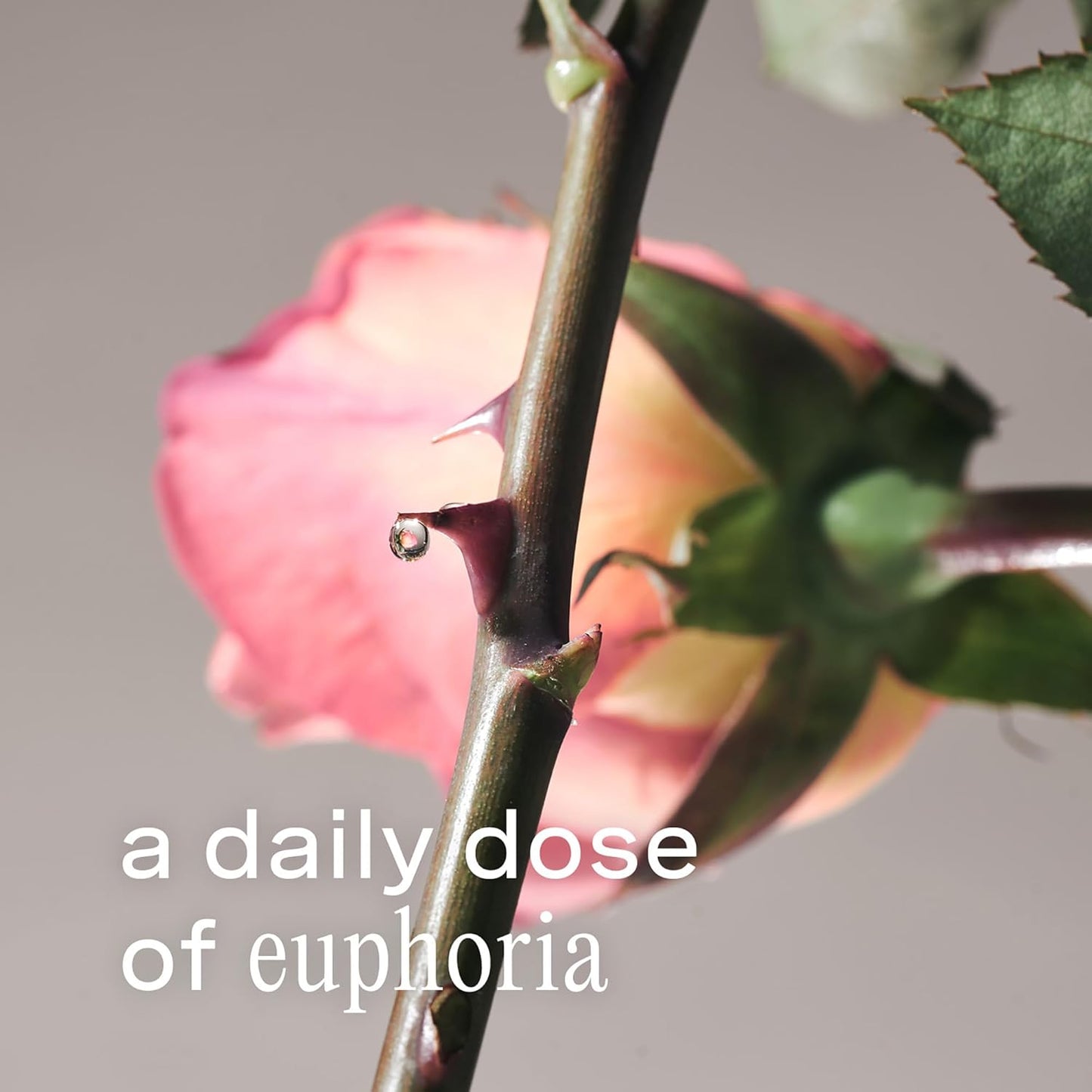 Addison Rae Happy Body & Hair Mist for Women - Fruity Floral Feminine Scent - Body Spray Pink Lychee and Red Grapefruit - Long-Lasting, Everyday Wear Fragrance for Her - Vegan, Cruelty Free - 8oz