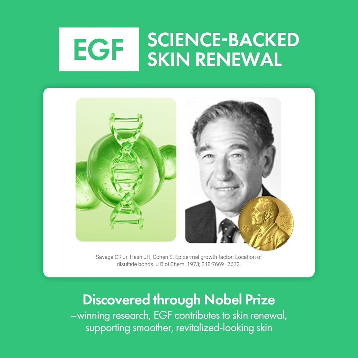 Easydew Mela B Toning Ampoule Cushion Refill - 2-in-1 Korean Skin Care & Face Beauty Makeup - Age-Defying Full Coverage Cushion Foundation with Niacinamide & Hyaluron-Vital C 0.45 oz (#13 Porcelain)