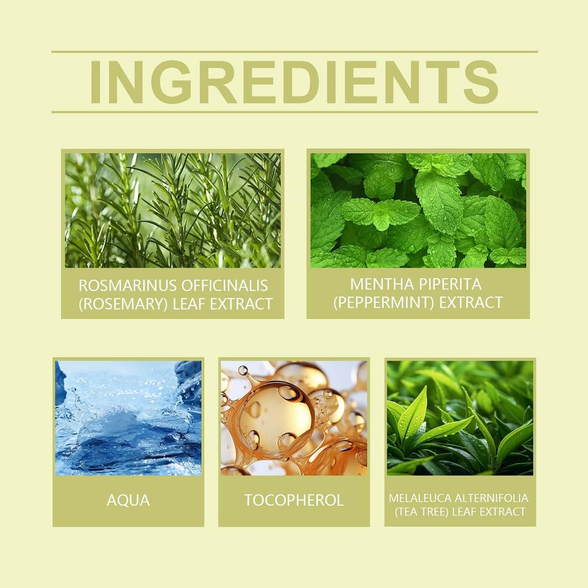 Rosemary Spray for Hair Growth, Nourishing Dry Damaged & Growth Hair. (1Pcs)