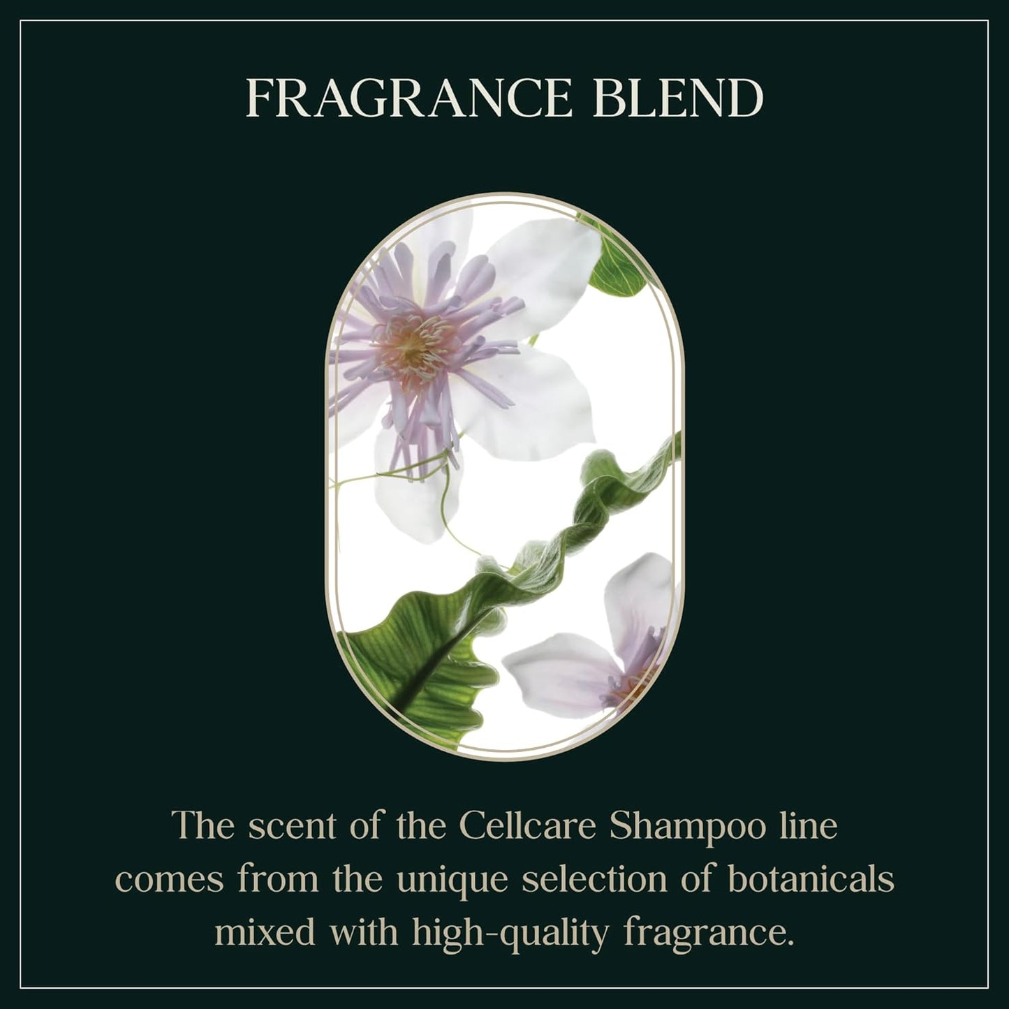 Cooling Relief Botanic Cellcare Shampoo 500ml, 16.90 fl oz | Sulfate-Free, Paraben-Free and Color-Safe | pH Balancing