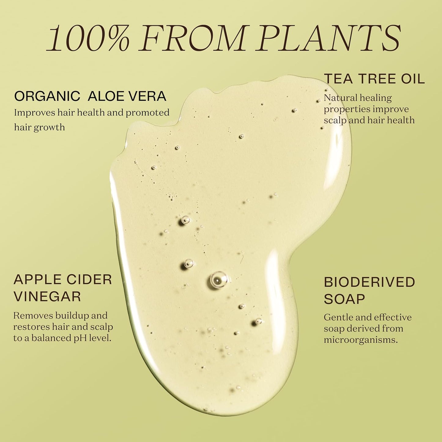 Non Toxic Vegan Shampoo with Organic Ingredients, Apple Cider Vinegar & Tea Tree Oil - Sulfate Free, Color Safe, Paraben Free, Gluten Free, Cruelty Free, pH Balanced (2-Pack)