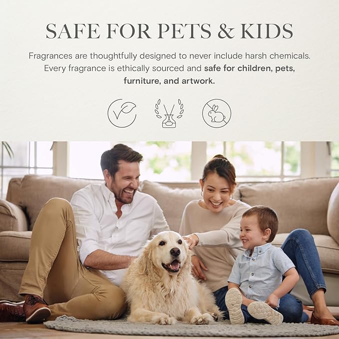 Five Designer Collection Diffuser Oils | Aromatherapy Home Fragrance | Luxurious Scent with Notes of Grapefruit, Lavender, Musk (120 mL)