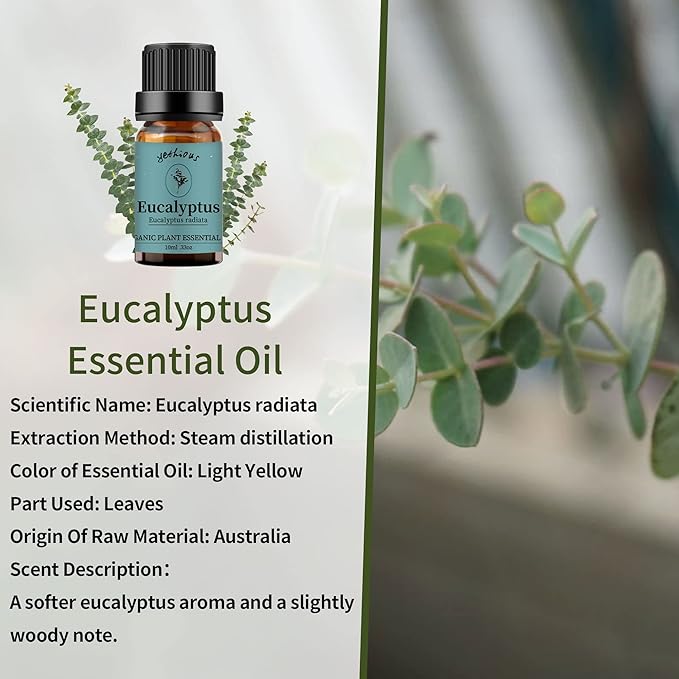 yethious Rose Essential Oil Eucalyptus Essential Oils Set 100% Pure Organic Aromatherapy Oils Rose Oil Essential Oil for Diffuser - 2 Pack 10ML
