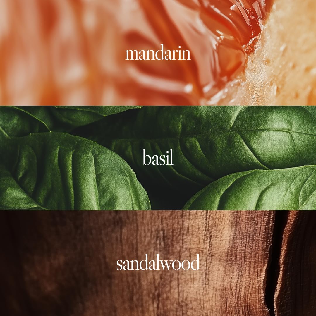 Noteworthy n,307 Sunlit Grove Eau De Parfum – Mandarin, Basil, Sandalwood | Sophisticated, Warm Fragrance for Any Occasion | Long-lasting Unisex Perfume for Women & Men (100ml)