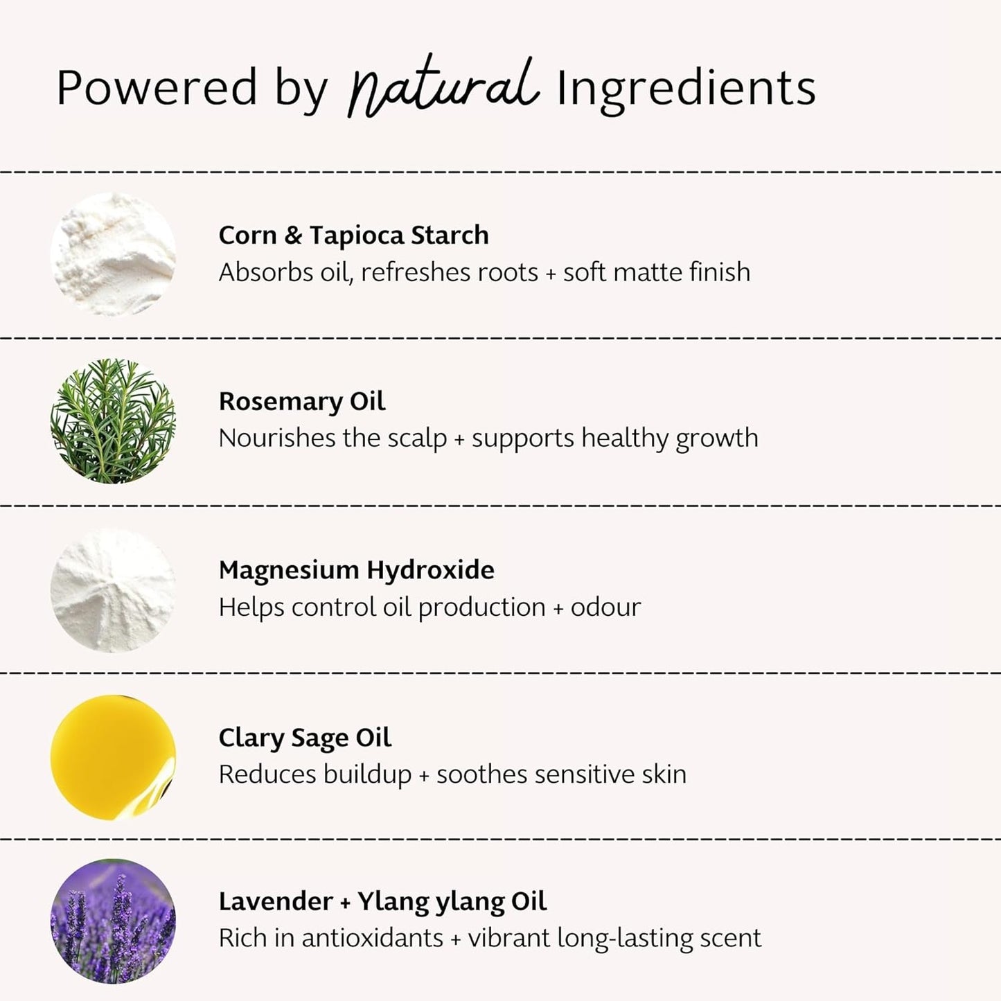 Slo | Natural Dry Shampoo Powder For Light Hair - All Natural Ingredients, Vegan & Cruelty Free, Talc-Free Blend, Paper Packaging | Lavender + Ylang Ylang, (1.23oz/35g)