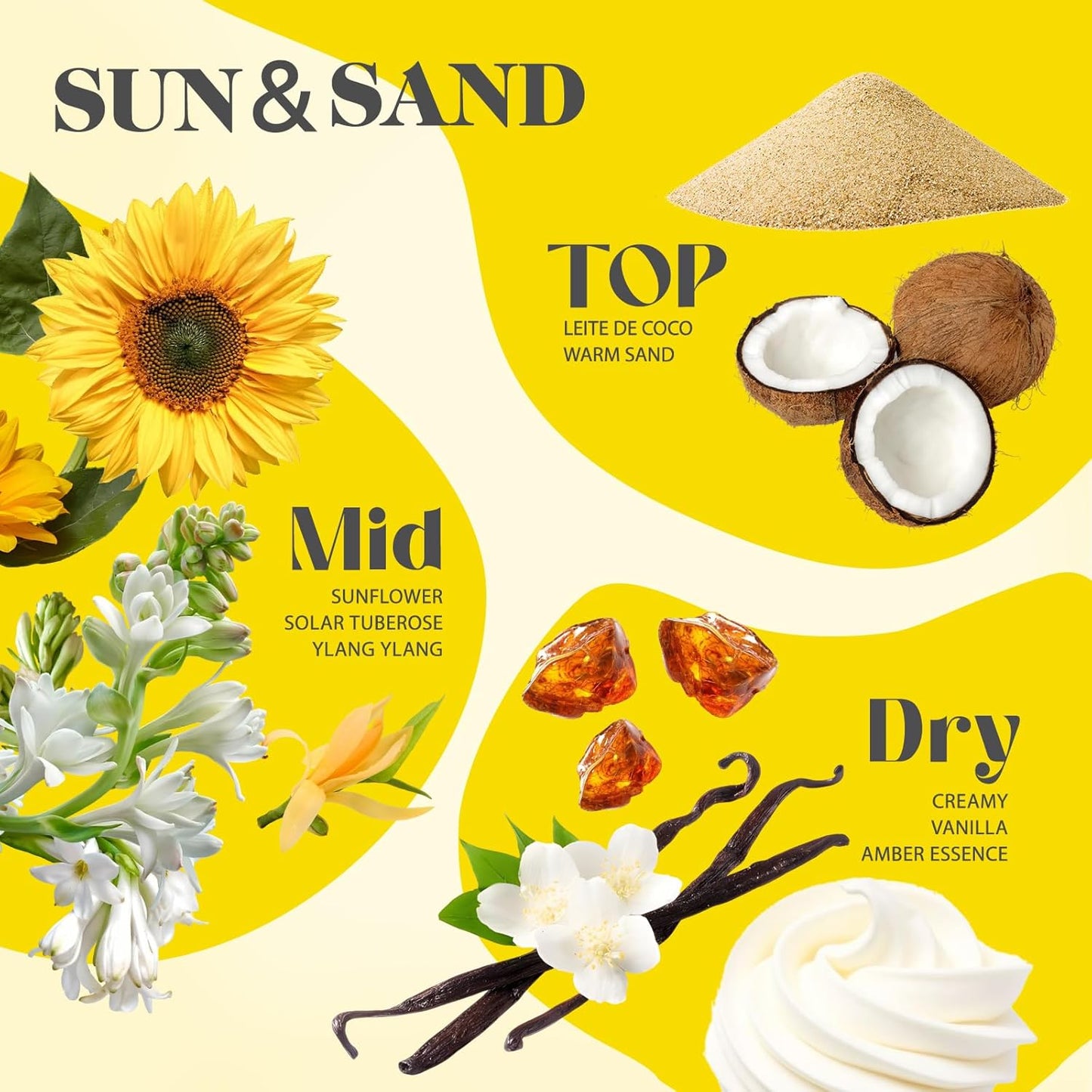 Sttes Perfume 807# (SUN AND SAND) – Eau De Parfum 100ml (3.4 fl oz) – Coconut Milk, Warm Sand, Vanilla