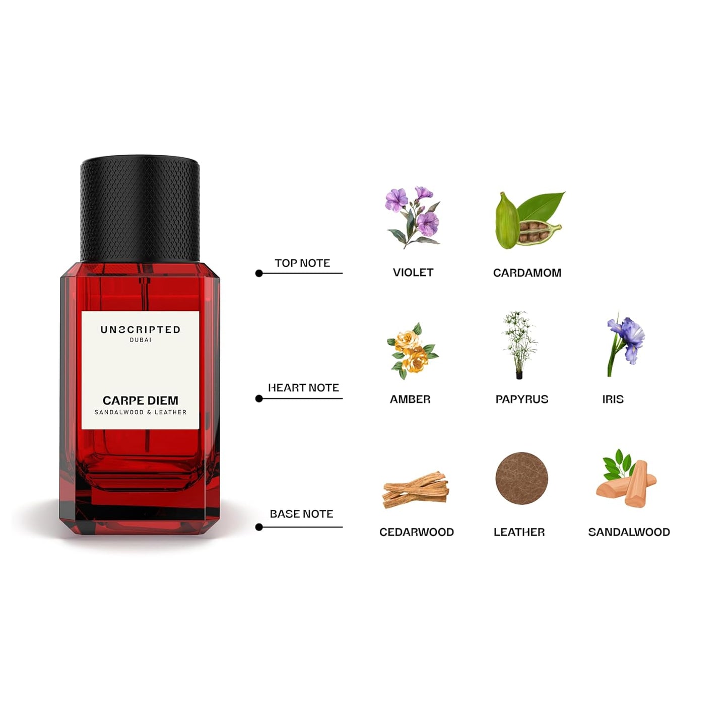 Unscripted Carpe Diem - Perfume For Men And Women - Women Perfume with Amber, Cedarwood, Leather Notes - Bold, Long-Lasting Mens Cologne - 1.7 oz