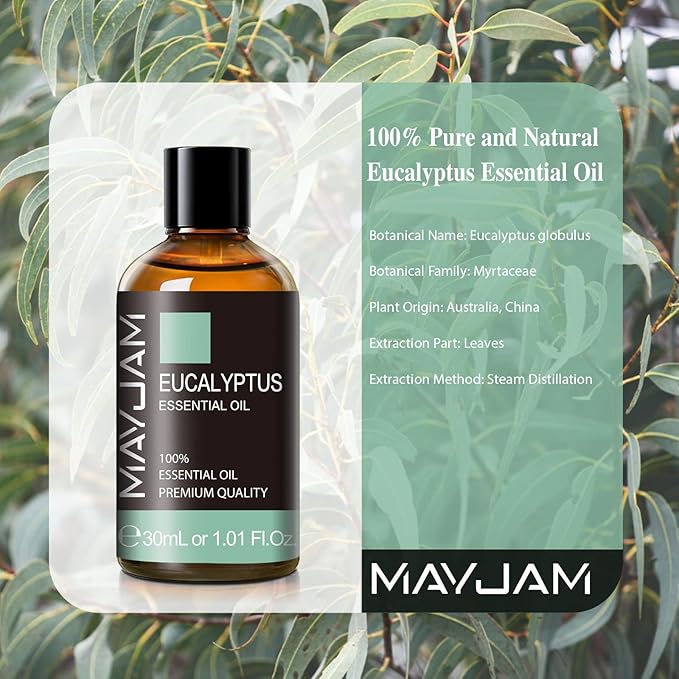 Eucalyptus Essential Oil, MAYJAM 30ML/1.01FL.OZ Pure Eucalyptus Oils for Diffusers, Soap Candle Making, Perfect for Living Room Bedroom Office Car Use
