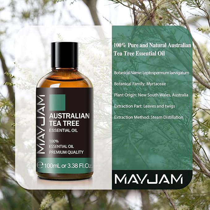 Australian Tea Tree Essential Oil, MAYJAM Pure Essential Oils for Diffusers, 3.38FL.OZ/100ML Large Volume Australian Tea Tree Oil with Premium Glass Dropper