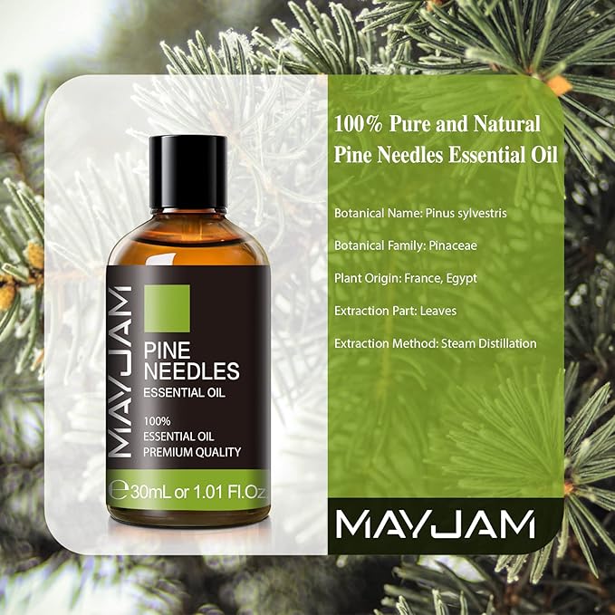 Pine Needles Essential Oil 30ML, Pure Essential Oils for Massage, Diffusers, Pine Needles Oil for Soap Candle Making (1.01FL.OZ Bottle)