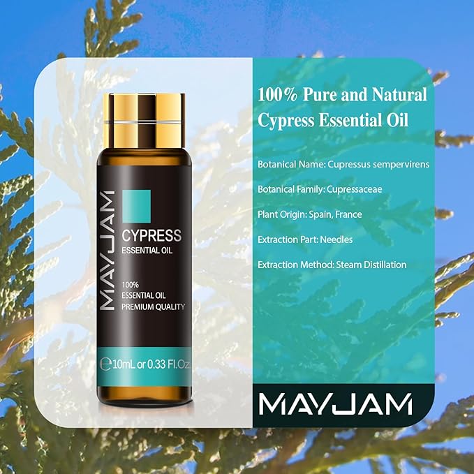 Cypress Essential Oil, MAYJAM 10ML/0.33FL.OZ Premium Cypress Oils for Soap Candle Making, Diffuser, Bedroom, Living Room, Office