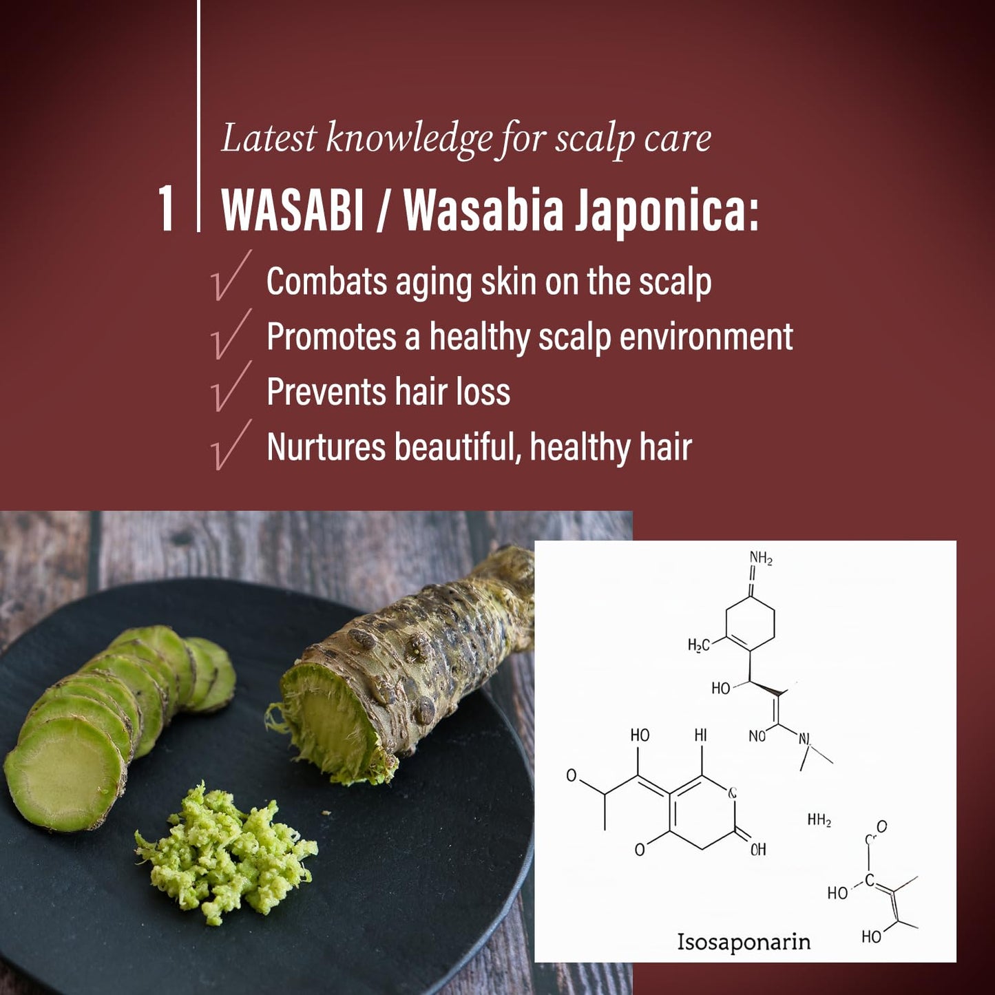 Moist Diane Thickening Conditioner for Men, Dry Itchy Scalp Treatment by Keratin, Ginseng Root & Protein, Argan Oil Conditioner for Women from Japan, 15.2 Fl Oz, EXTRA HAIR FALL CONTROL