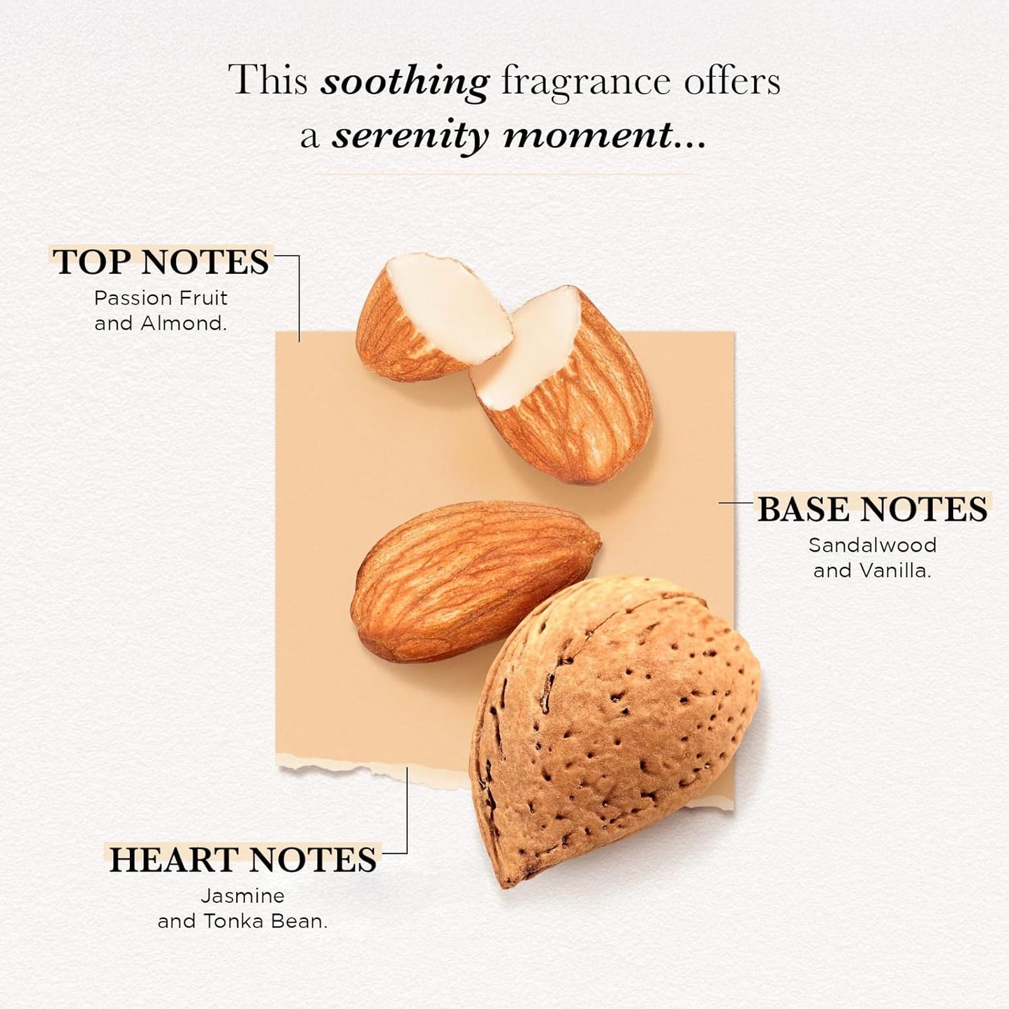 Solinotes Almond Perfume for Women & Men, 1.7 Fl Oz/ 50 ML Eau De Parfum, Delicate Floral and Soothing Scent with Premium Ingredients - Clean Perfume, Cruelty Free, Vegan, Made in France