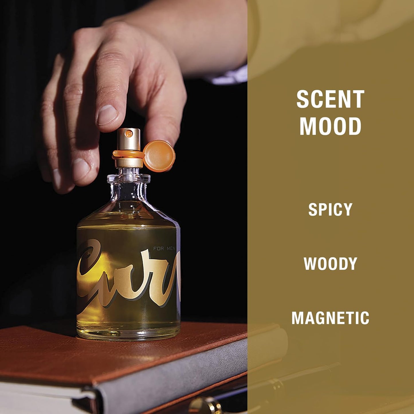 Curve Men's Cologne Fragrance Spray, Spicy Wood Magnetic Scent for Day or Night, 6.8 Fl Oz