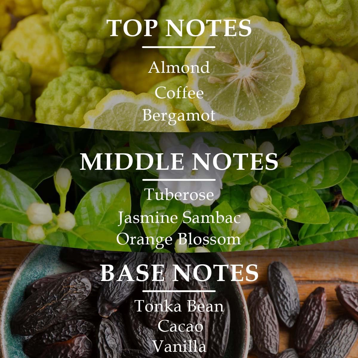 Lonkoom LOCK Forbidden Darkness Perfume for Women Men, 1.7 Fl Oz/50ml Unisex Eau De Parfum Spray Long-Lasting Fragrance, Floral Notes of Almond, Coffee, Lemon, Tuberose, Vanilla, Praline, Musk, Amber