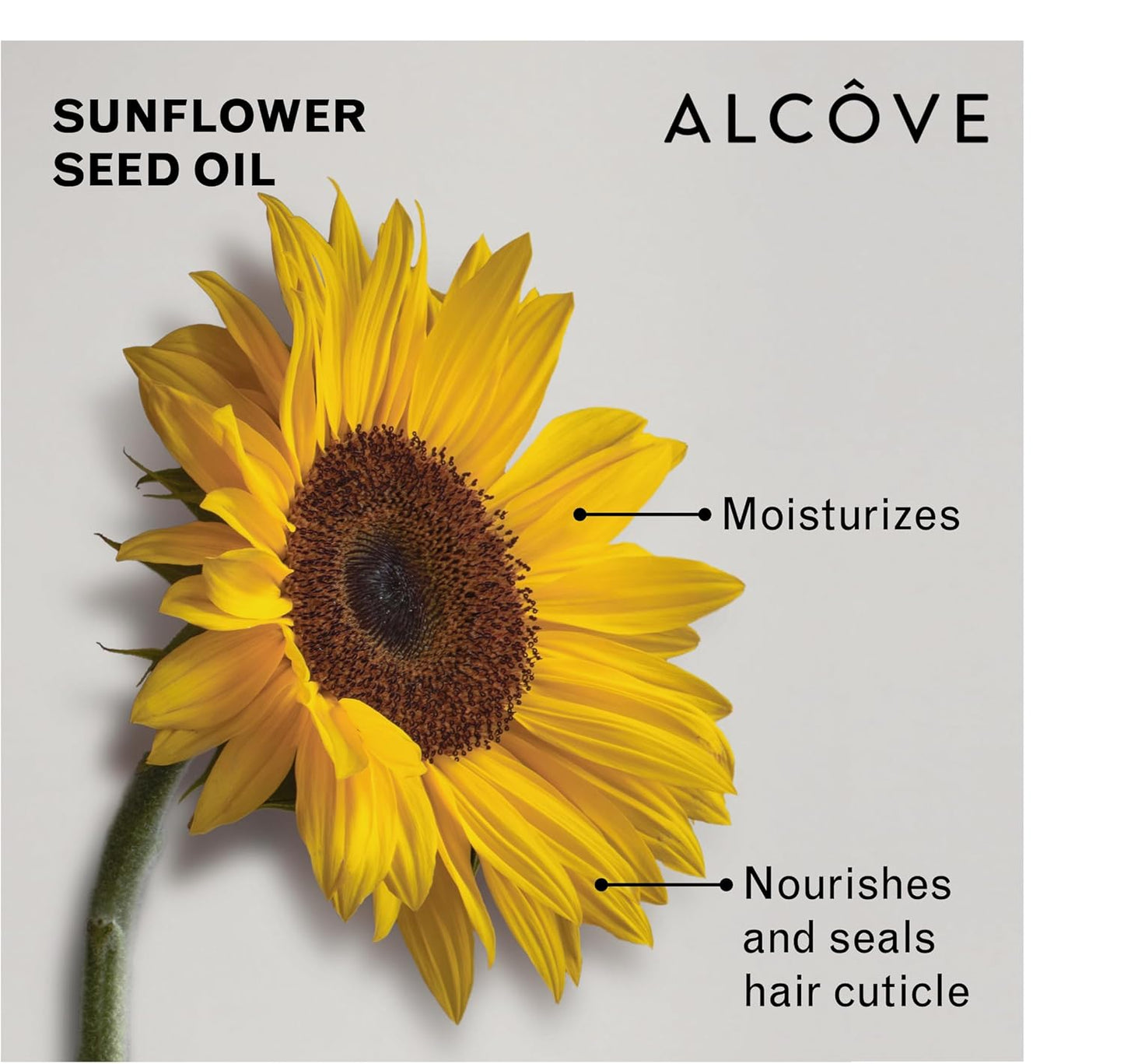 Alcôve - Daily Conditioner - All Hair Types - Lightweight Care - Anti-frizz - With Argan Oil and Mango Extract - Color-Safe - Sulfate-Free - 10oz