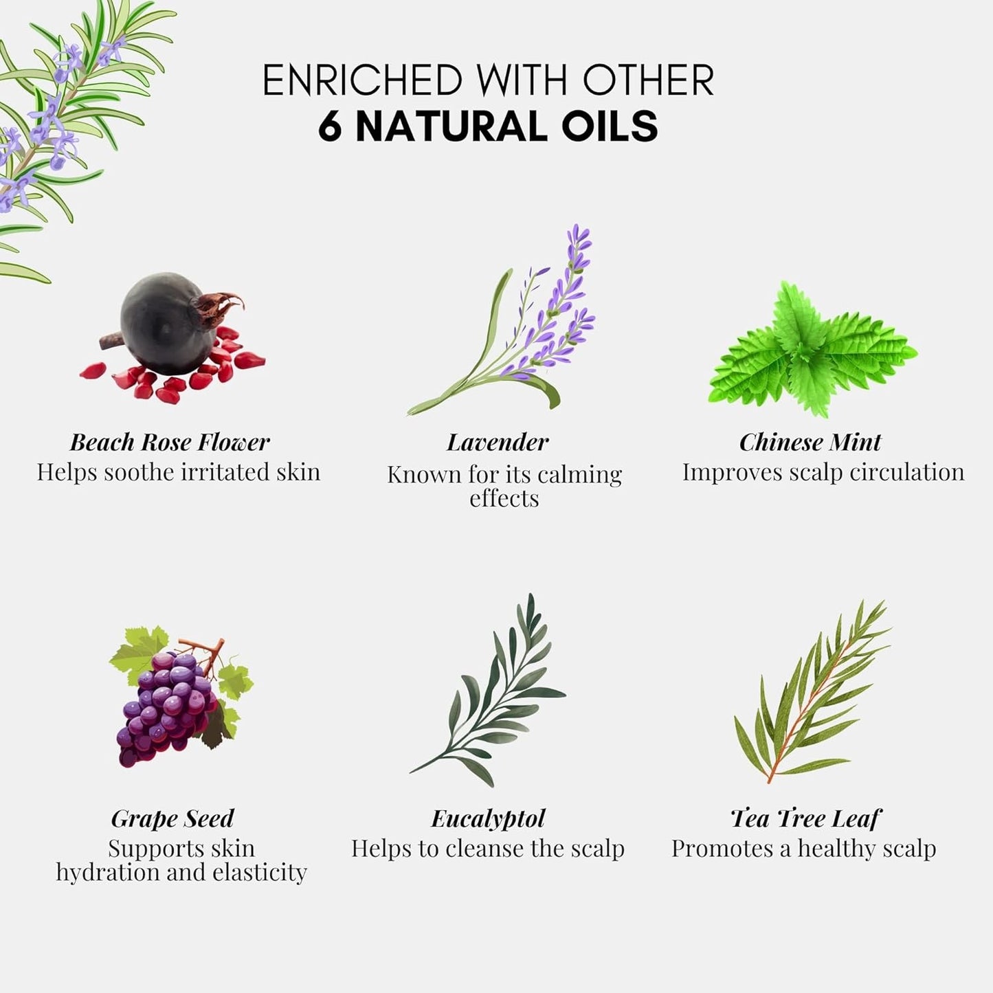 HERBION Naturals Rosemary Hair Oil, 3.4 fl Oz: Ultimate Hair Growth Oil, Infused with Essential Oils for Scalp and Hair Care, Hair Growth Serum with Lavender & Tea Tree, Glass Bottle