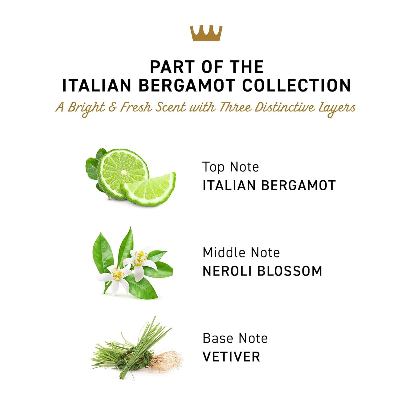 Cremo Italian Bergamot Antiperspirant & Deodorant for Men, 48-hour Sweat and Odor Protection, 2.65oz