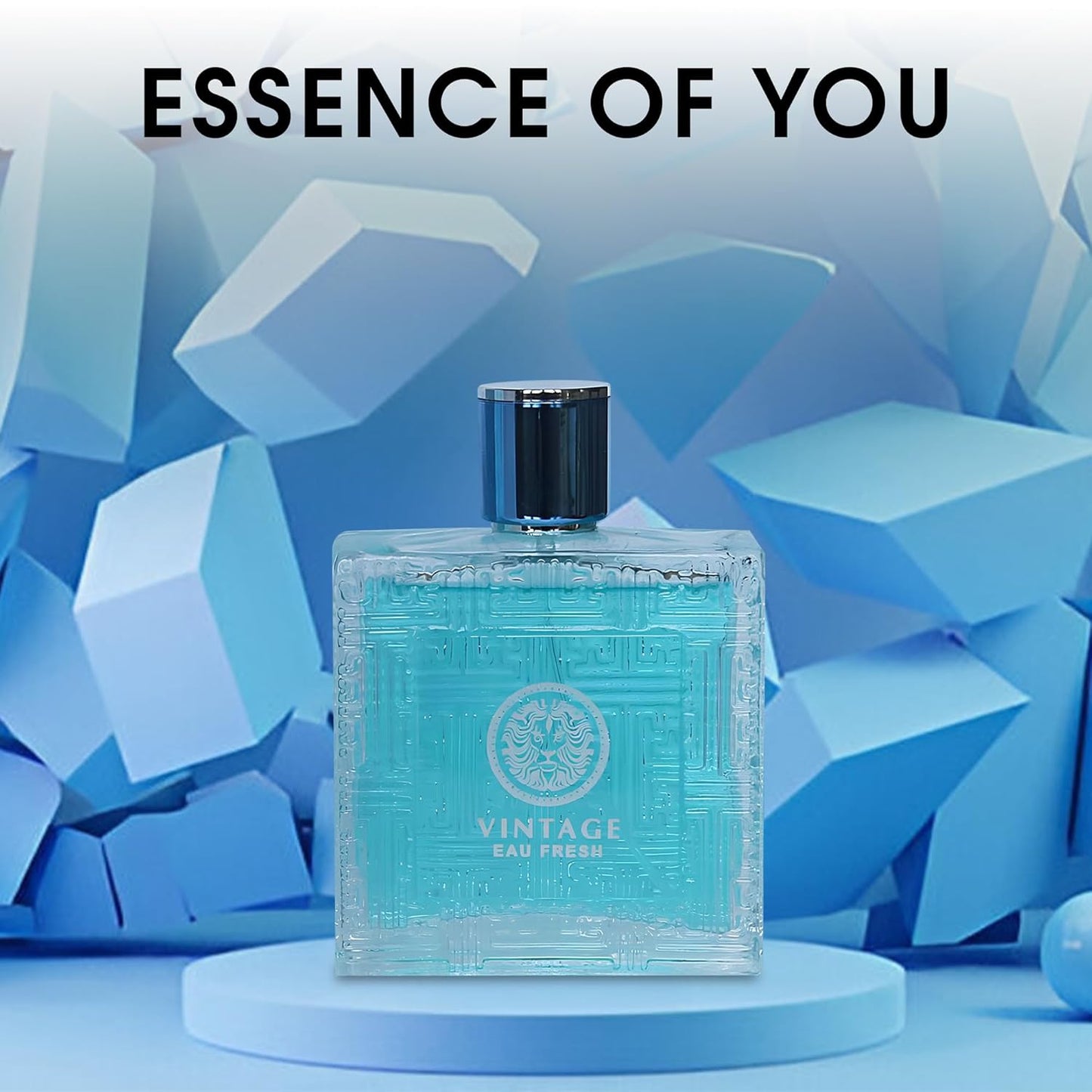 Vintage Men's Cologne Timeless Scent with a Modern Twist Perfume for Men, Eau de Toilette 100ML for All Skin