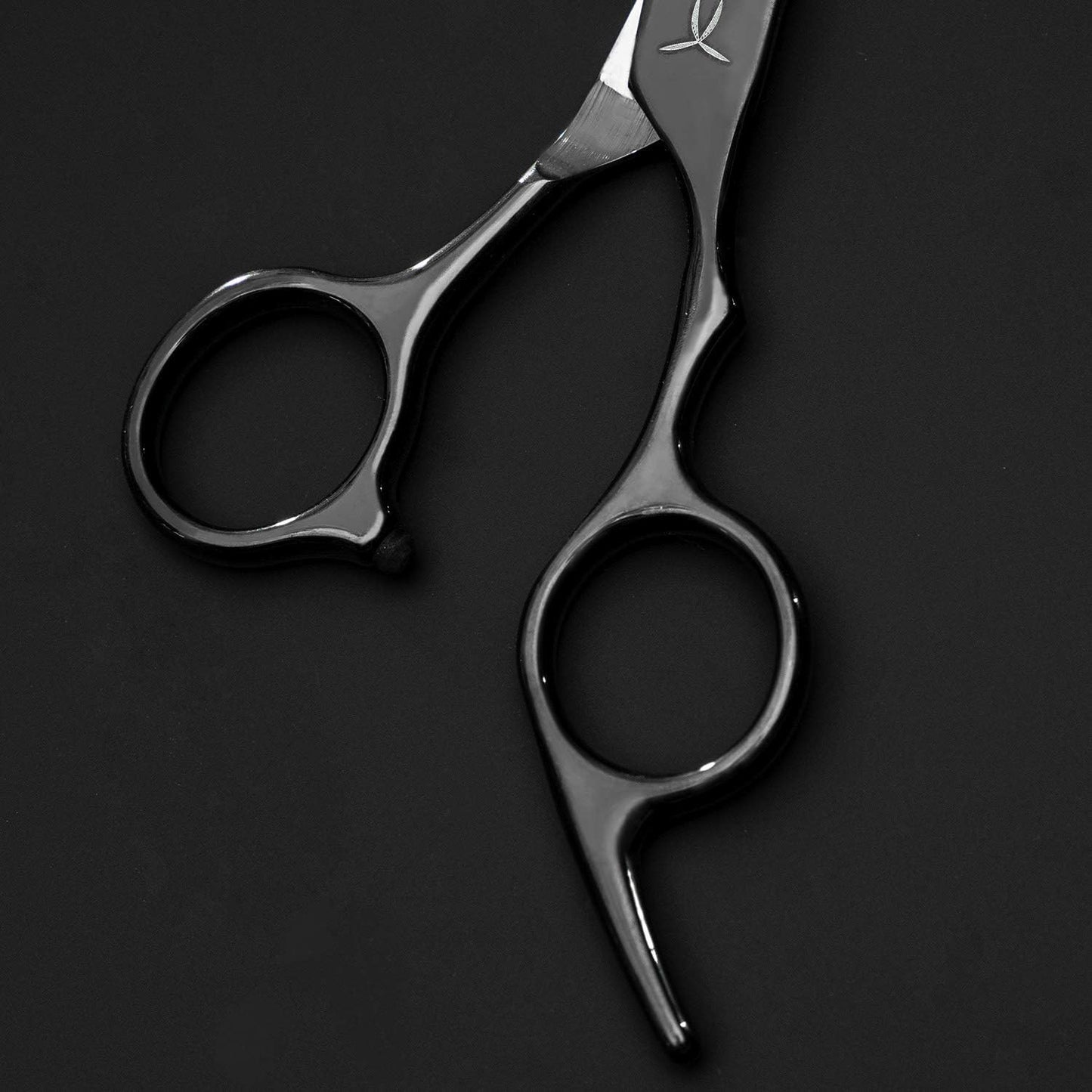 FARRAY 6.5" Professional Hair Cutting Scissors - Japanese Stainless Steel Barber Shears for Salon, Home, All Ages - Ergonomic Handle & Sharp Blades (Black)