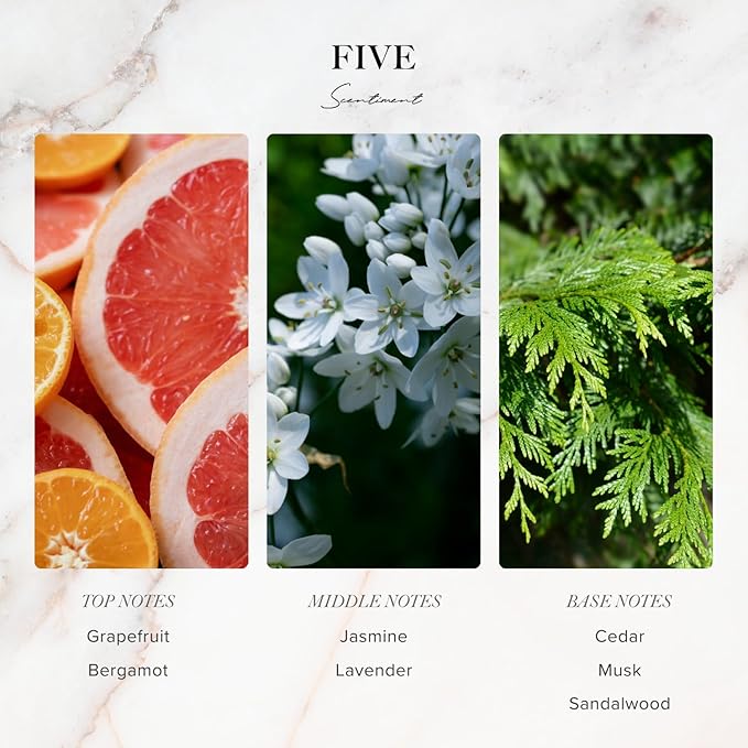 Five Designer Collection Diffuser Oils | Aromatherapy Home Fragrance | Luxurious Scent with Notes of Grapefruit, Lavender, Musk (120 mL)