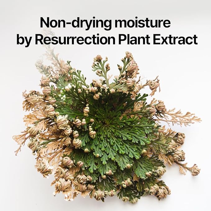 Pyunkang Yul [PKY] Dancheong Body Lotion, Intensive Moisture, Natural Scents with Essential Oils, Inspired by Fade-Resistant Korean Dancheong, Zero Irritation, Korean Skincare (11.83 Fl. Oz, 350ml)