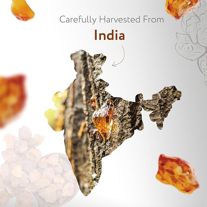 HBNO California Bottled Frankincense Essential Oil (Serrata) 4 fl oz (120ml) - Natural & Premium Grade Frankincense Oil Essential Oil, Frankincense Essential Oil for Skin and Aromtherapy