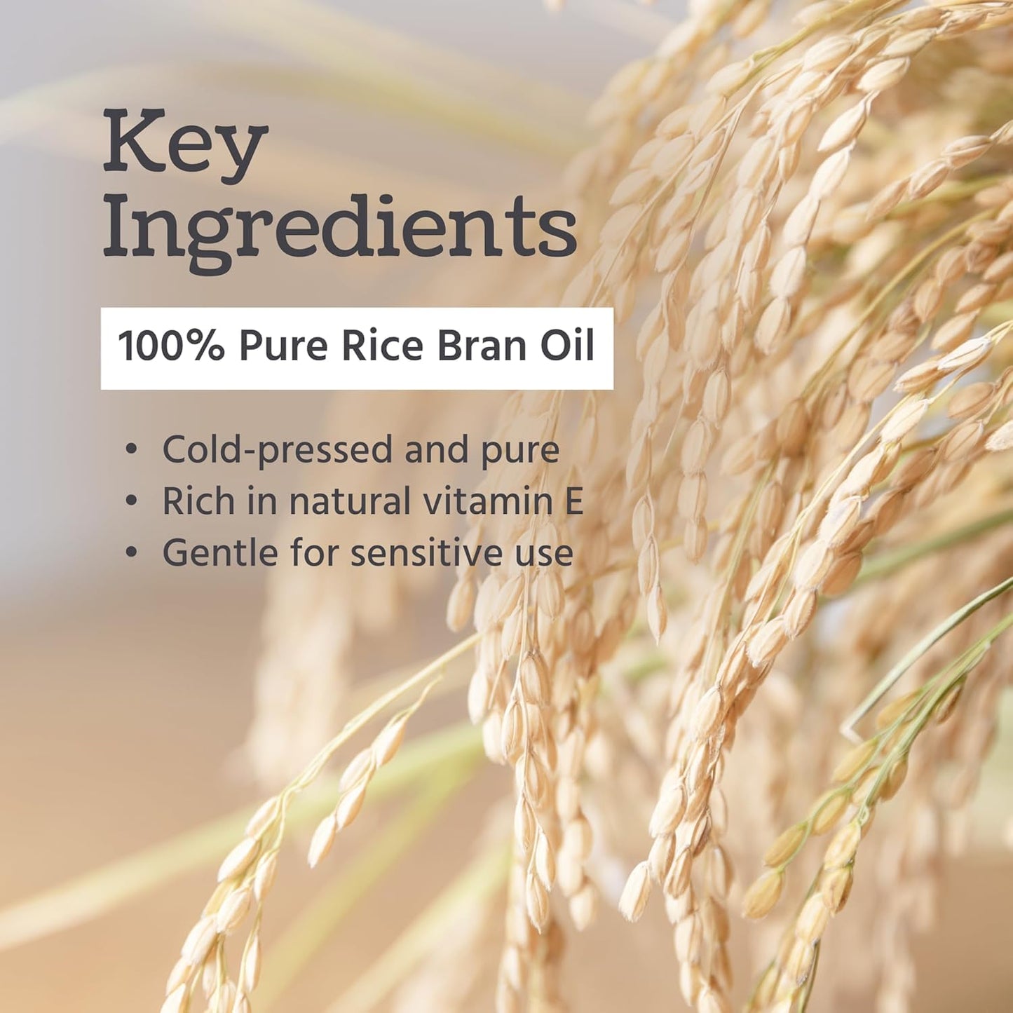 Well's Oil Rice Bran Oil 4 oz | 100% Pure Natural Carrier Oil | For All Skin & Hair | Refined, Cold Pressed | For Body, Skin & Hair | DIY Creams, Lotions, and Lip Balms