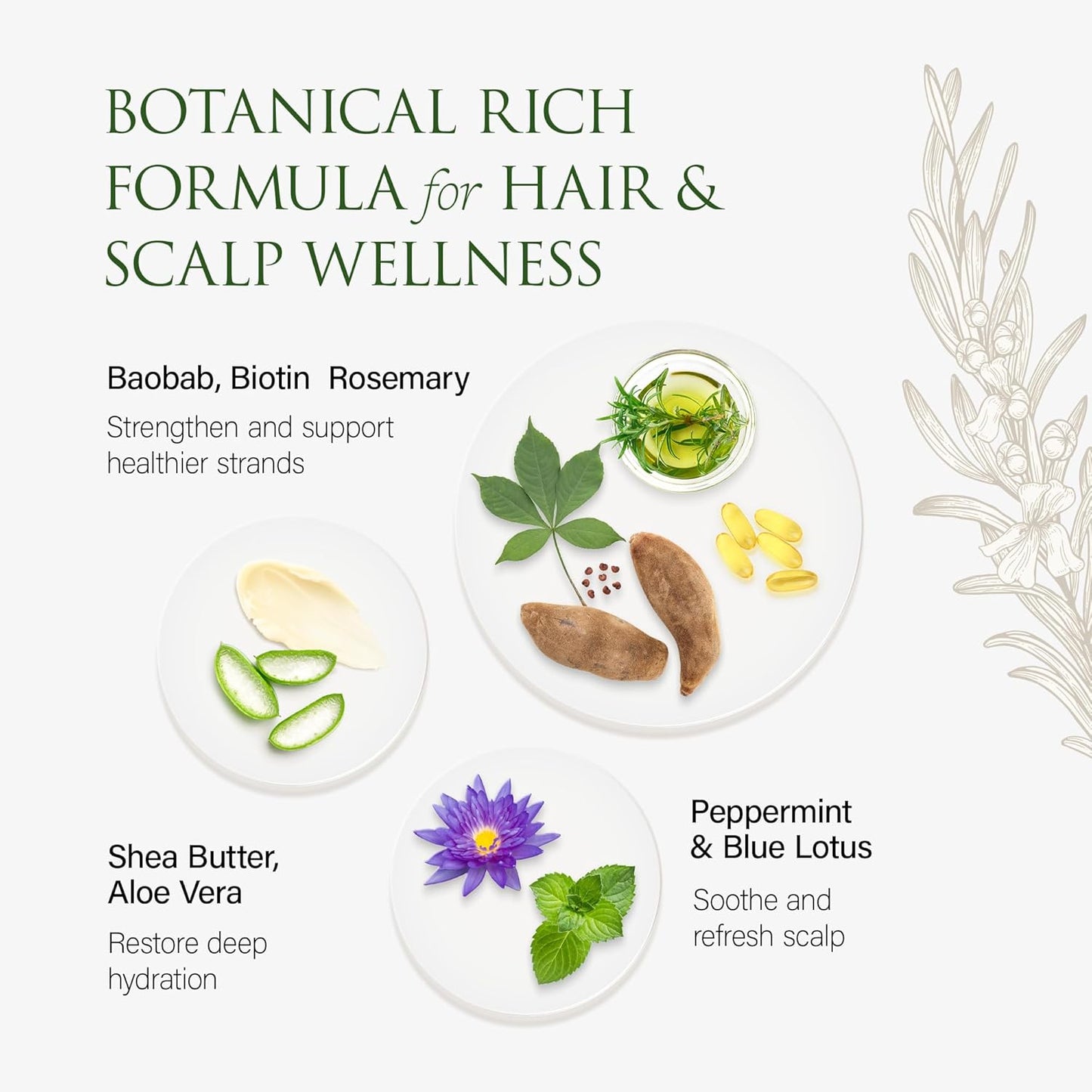 Christina Moss Naturals Conditioner Organic and Natural Ingredients, No Silicones, No Parabens