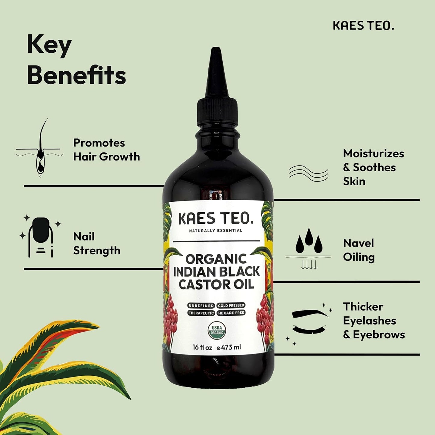 Organic Black Castor Oil for Hair Growth 16 fl oz - Not Jamaican Black Castor Oil, 100% Pure, Cold Pressed Hexane Free - USDA Certified, Skin, Nail, Scalp, Thicker Eyebrows & Eyelashes