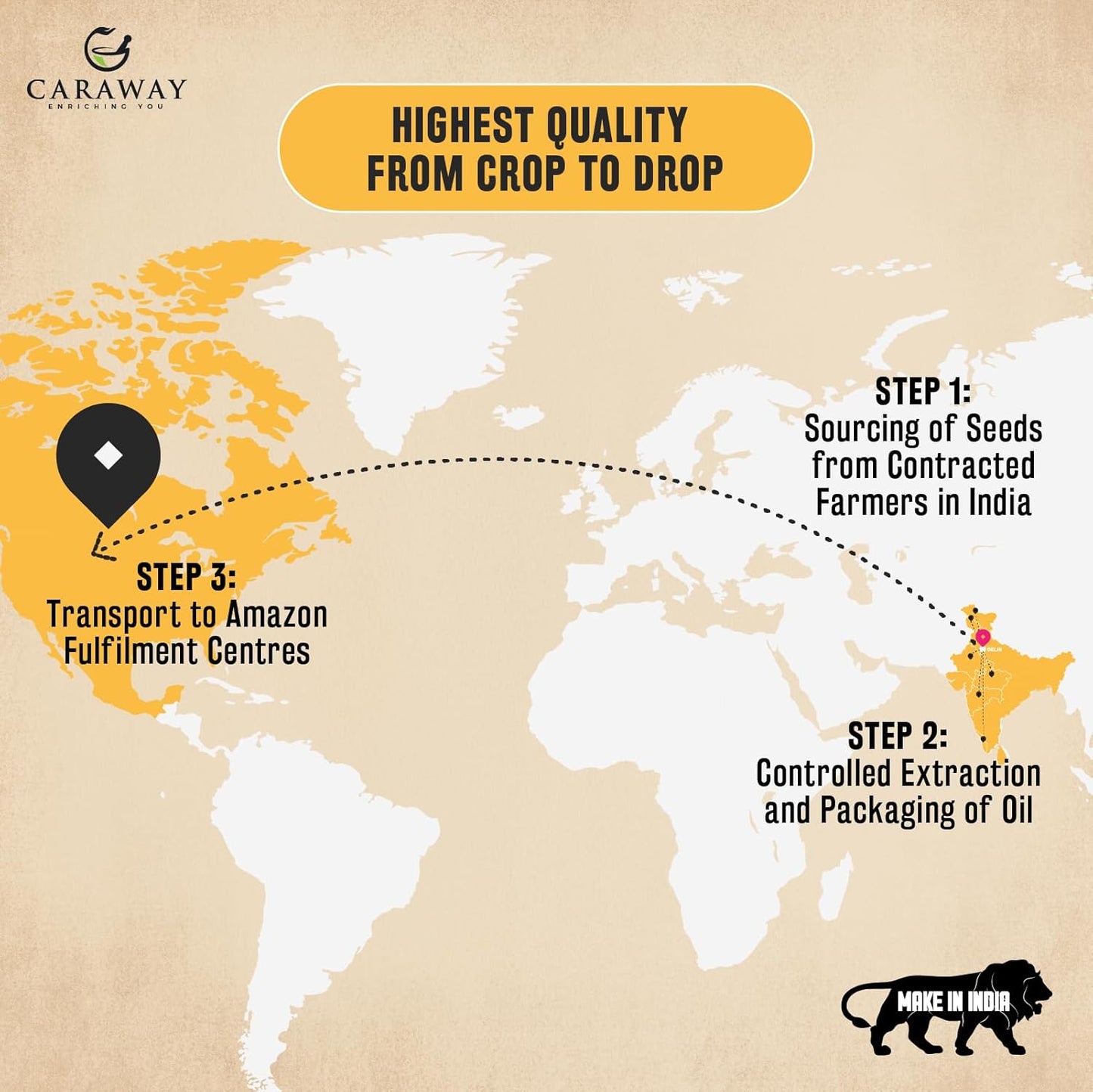 CARAWAY Organic Black Seed Oil - Cold Pressed Nigella Sativa Oil - Pure and Unrefined - Rich in Thymoquinone for Immune Support, Hair and Skin Care | Glass Bottle