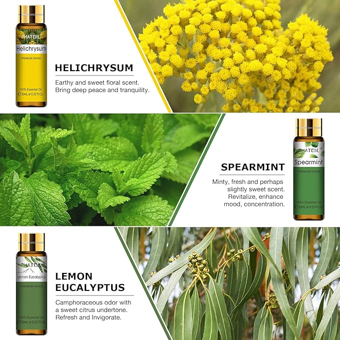 9PCS Premium Essential Oil Set - 10ML/0.33FL.OZ Fragrance Oils for Diffusers DIY Candle Soap Making, Long Lasting Scents, Ideal Gift Set for Friends and Families